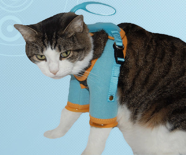 Kitty Care Harness