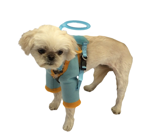 Doggy Care Harness